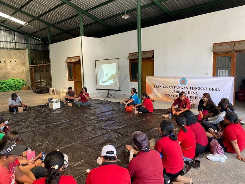 Ketahanan Pangan Tingkat Desa  Lumbung Desa Penatih Dangin Puri